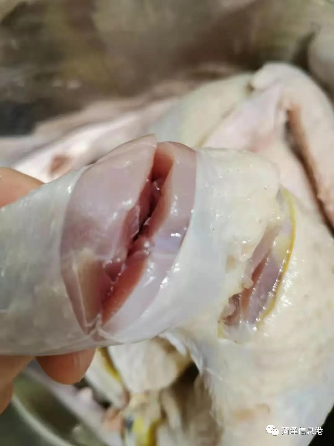 ͼƬ